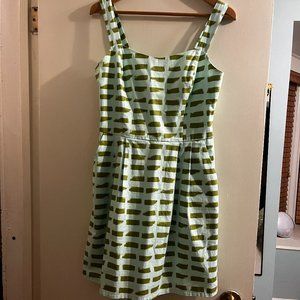 Birds of North America Summer Dress